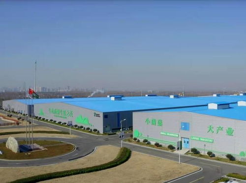 从煤炭到金针菇 电石产业转型中的食用菌超级工厂