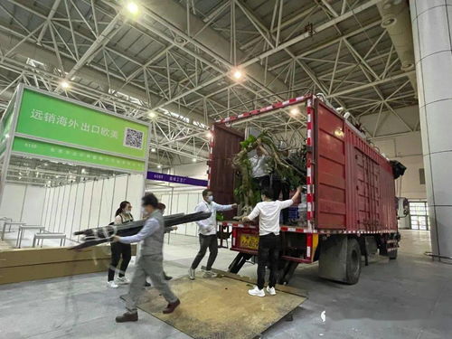 播种春天——第56届全国工艺品交易会展前冲刺纪实