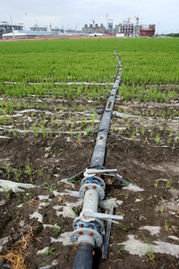 天业大力使用低汞触媒，敢当中国氯碱行业无汞化的探路先锋